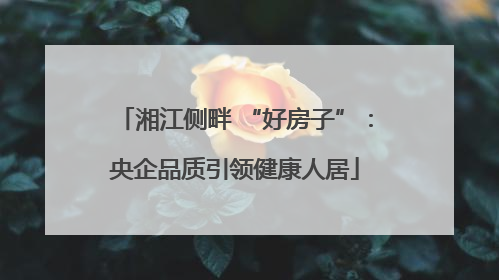 湘江侧畔 “好房子”：央企品质引领健康人居