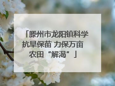 滕州市龙阳镇科学抗旱保苗 力保万亩农田“解渴”