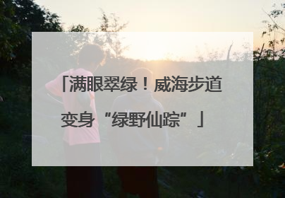 满眼翠绿！威海步道变身“绿野仙踪”
