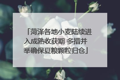 菏泽各地小麦陆续进入成熟收获期 多措并举确保夏粮颗粒归仓