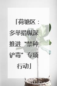 荷塘区：多举措纵深推进“禁种铲毒”专项行动
