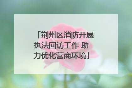 荆州区消防开展执法回访工作 助力优化营商环境