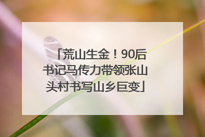 荒山生金！90后书记马传力带领张山头村书写山乡巨变