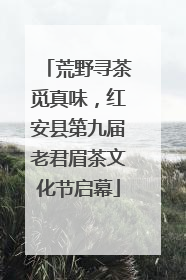 荒野寻茶觅真味，红安县第九届老君眉茶文化节启幕