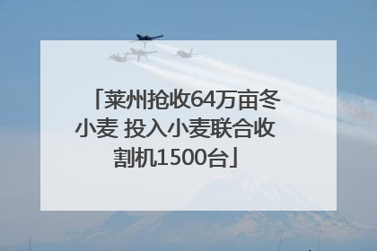 莱州抢收64万亩冬小麦 投入小麦联合收割机1500台