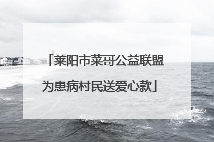 莱阳市菜哥公益联盟为患病村民送爱心款