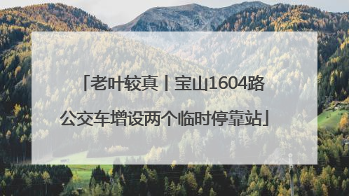 老叶较真丨宝山1604路公交车增设两个临时停靠站