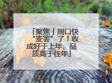 聚焦丨周口快“麦罢”了！收成好于上年、品质高于往年