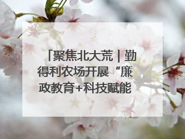 聚焦北大荒｜勤得利农场开展“廉政教育+科技赋能”主题党日活动