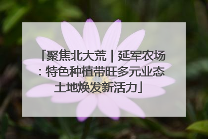 聚焦北大荒｜延军农场：特色种植带旺多元业态 土地焕发新活力