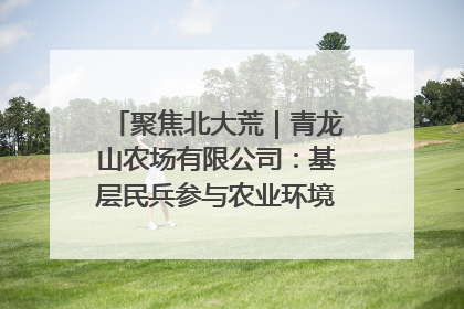 聚焦北大荒｜青龙山农场有限公司：基层民兵参与农业环境综合治理显效