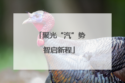 聚光“汽”势 智启新程
