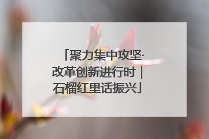 聚力集中攻坚·改革创新进行时｜石榴红里话振兴
