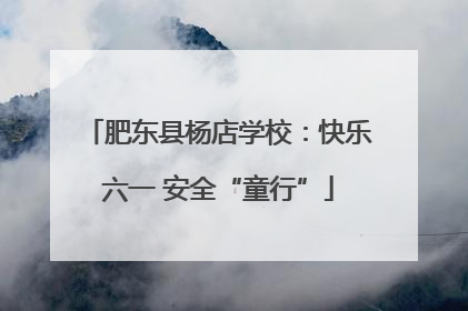 肥东县杨店学校：快乐六一 安全“童行”