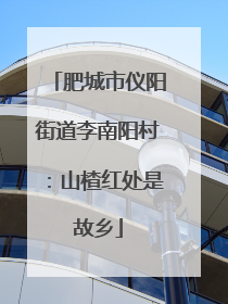 肥城市仪阳街道李南阳村：山楂红处是故乡