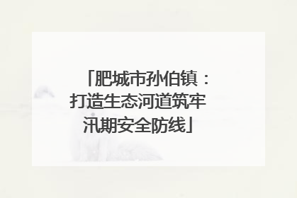 肥城市孙伯镇：打造生态河道筑牢汛期安全防线