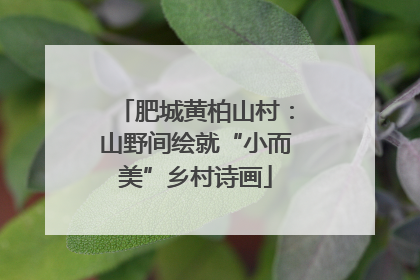 肥城黄柏山村：山野间绘就“小而美”乡村诗画
