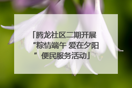 腾龙社区二期开展 “粽情端午 爱在夕阳”便民服务活动