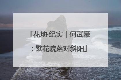 花地·纪实｜何武豪：繁花院落对斜阳