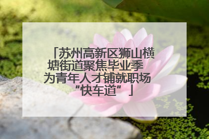 苏州高新区狮山横塘街道聚焦毕业季 为青年人才铺就职场“快车道”