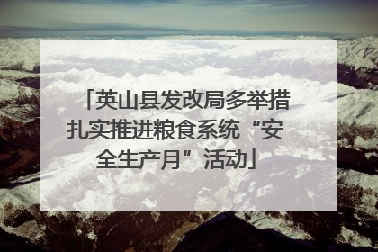 英山县发改局多举措扎实推进粮食系统“安全生产月”活动