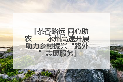 茶香路远 同心助农——永州高速开展助力乡村振兴“路外”志愿服务