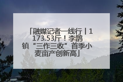融媒记者一线行丨1173.53斤！李鹊镇“三作三收”首季小麦亩产创新高