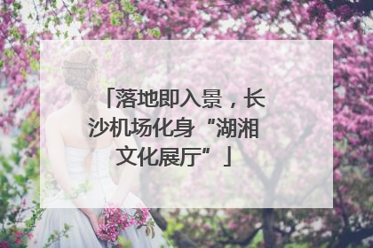 落地即入景，长沙机场化身“湖湘文化展厅”