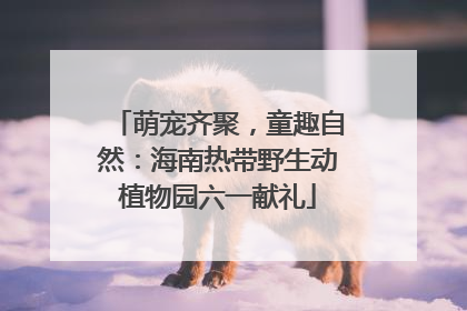 萌宠齐聚，童趣自然：海南热带野生动植物园六一献礼