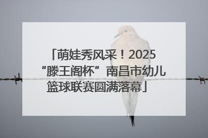 萌娃秀风采！2025“滕王阁杯”南昌市幼儿篮球联赛圆满落幕