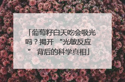 葡萄籽白天吃会吸光吗？揭开 “光敏反应” 背后的科学真相