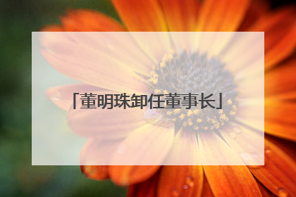 董明珠卸任董事长