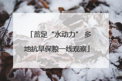 蓄足“水动力” 多地抗旱保粮一线观察