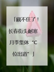 藏不住了！长春街头耐寒月季集体“C位出道”