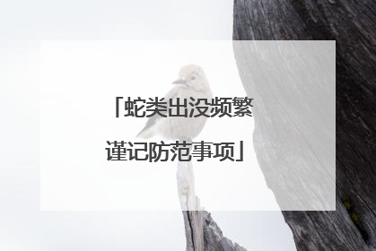 蛇类出没频繁 谨记防范事项