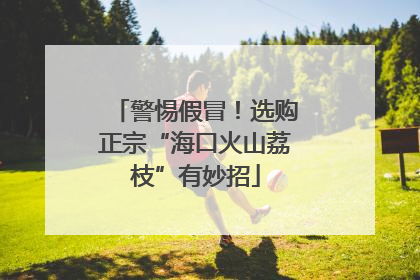 警惕假冒！选购正宗“海口火山荔枝”有妙招