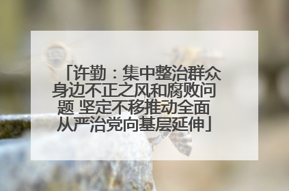 许勤：集中整治群众身边不正之风和腐败问题 坚定不移推动全面从严治党向基层延伸
