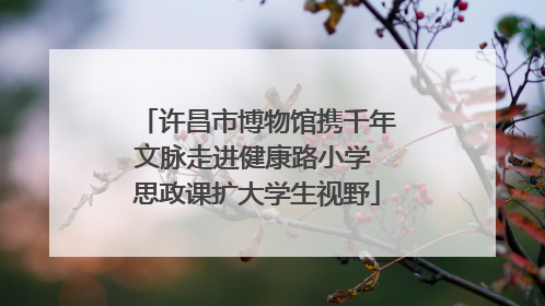 许昌市博物馆携千年文脉走进健康路小学 思政课扩大学生视野
