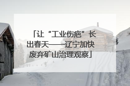 让“工业伤疤”长出春天——辽宁加快废弃矿山治理观察