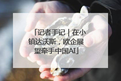 记者手记｜在小镇达沃斯，欧企展望牵手中国AI