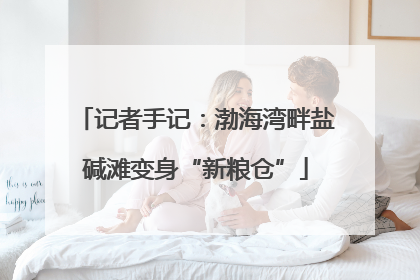 记者手记：渤海湾畔盐碱滩变身“新粮仓”