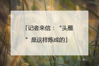 记者来信：“头雁”是这样炼成的
