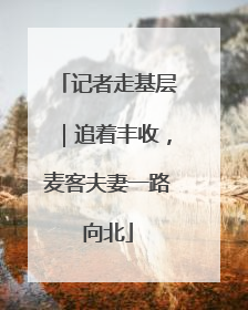 记者走基层｜追着丰收，麦客夫妻一路向北