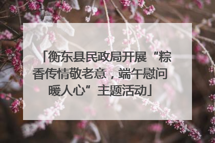 衡东县民政局开展“粽香传情敬老意，端午慰问暖人心”主题活动