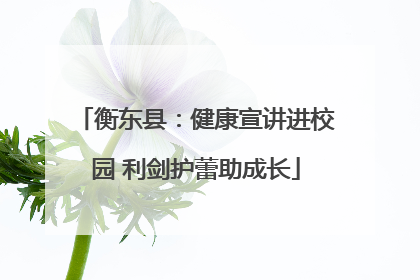 衡东县：健康宣讲进校园 利剑护蕾助成长