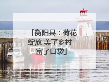 衡阳县：荷花绽放 美了乡村 富了口袋