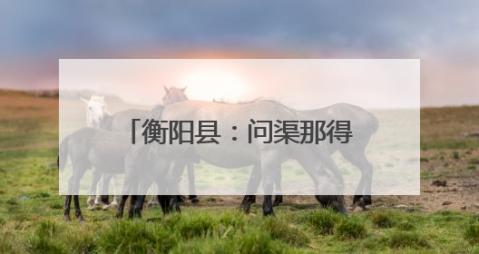 衡阳县：问渠那得清如许 “民声”变“民生”更畅通