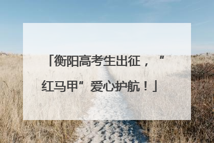 衡阳高考生出征，“红马甲”爱心护航！