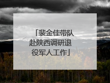 裴金佳带队赴陕西调研退役军人工作