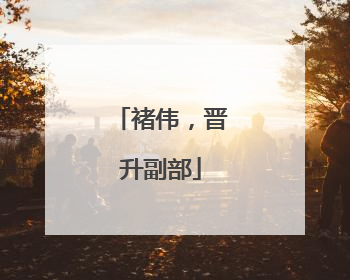 褚伟，晋升副部